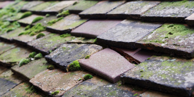 Wantage roof repair costs
